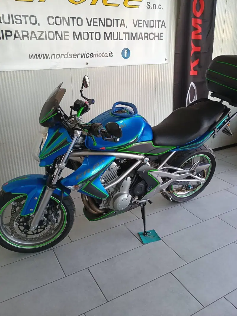 Kawasaki ER-6N (2006 - 09) (2)