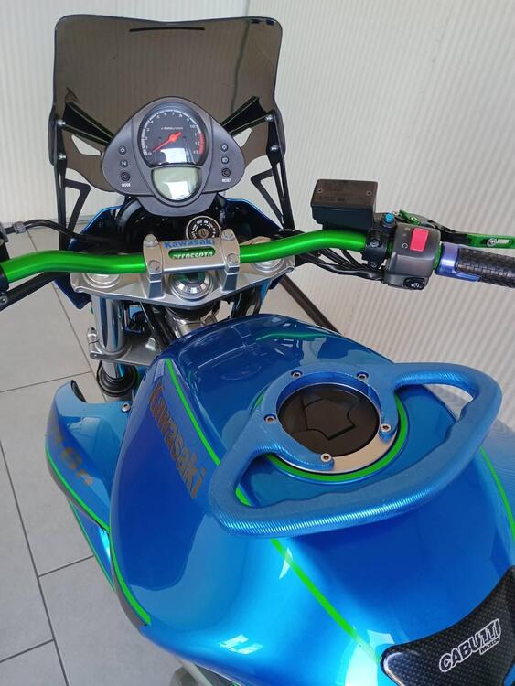 Kawasaki ER-6N (2006 - 09) (4)