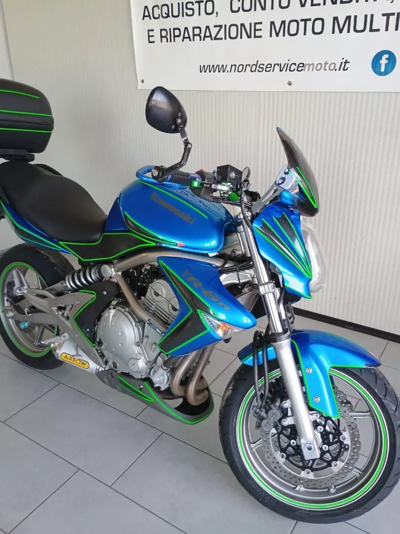 Kawasaki ER-6N (2006 - 09) (9)