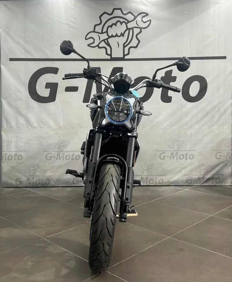 CFMOTO 300CL-X Heritage (2023 - 26) (3)