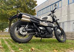 Triumph Street Scrambler 900 (2019 - 20) usata