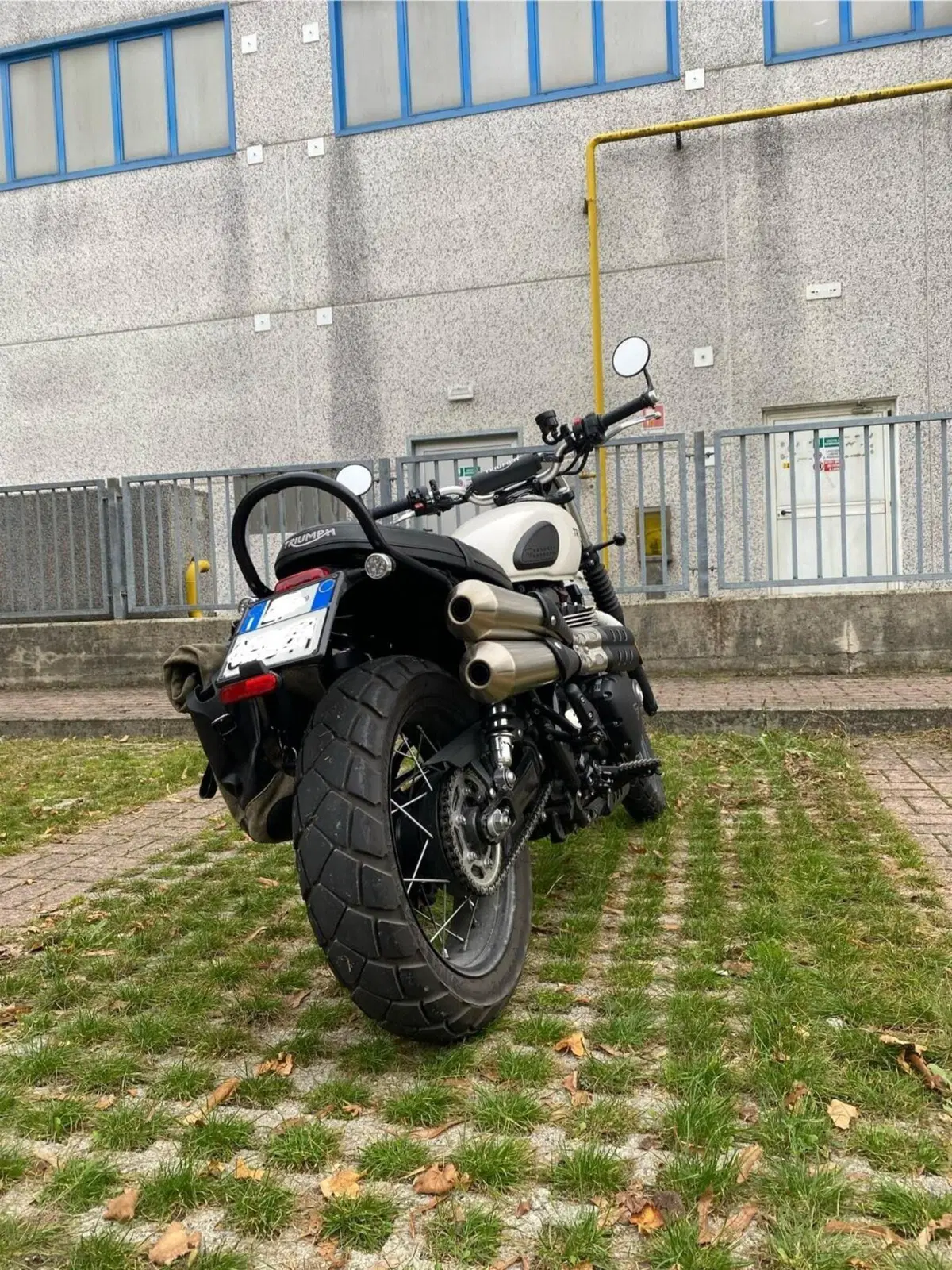 Triumph Street Scrambler 900 (2019 - 20) (10)