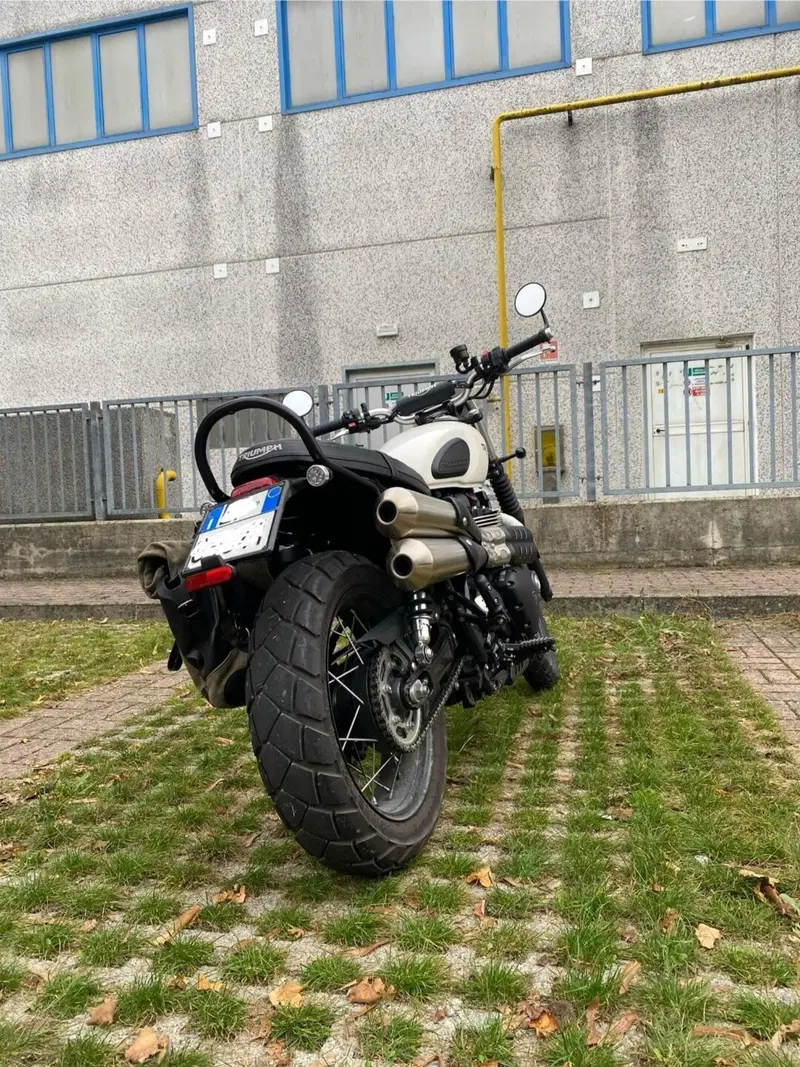 Triumph Street Scrambler 900 (2019 - 20) (10)