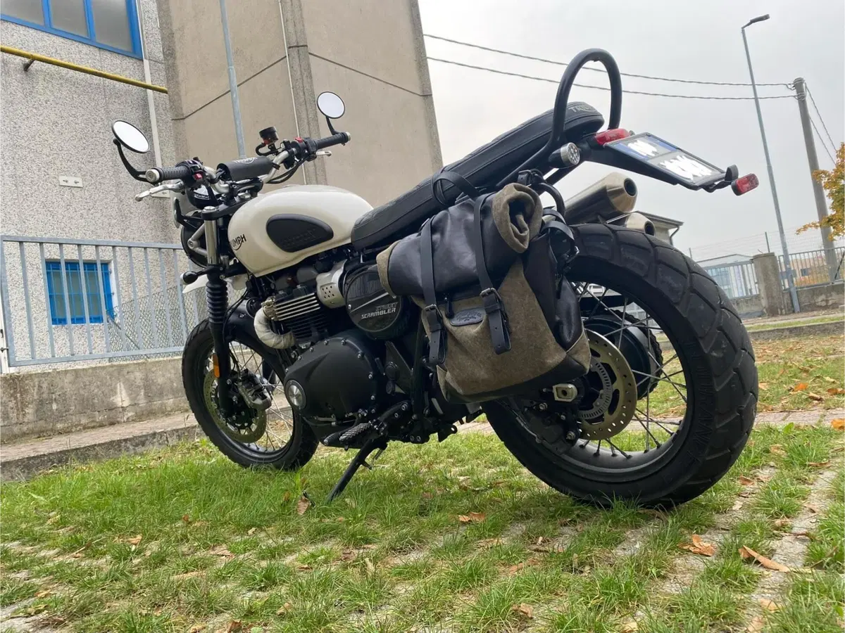 Triumph Street Scrambler 900 (2019 - 20) (6)