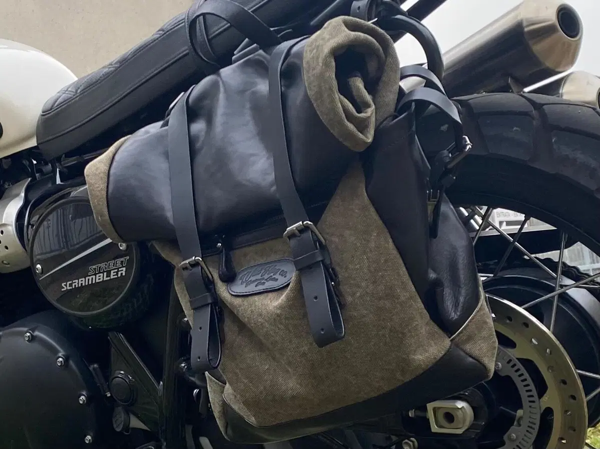 Triumph Street Scrambler 900 (2019 - 20) (11)