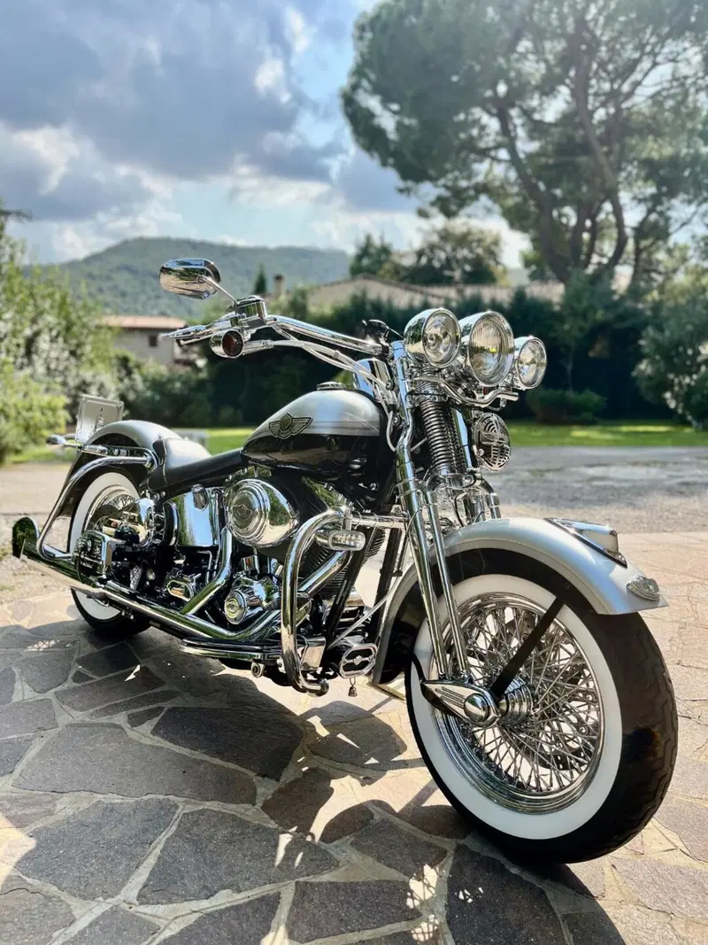 Harley-Davidson 1450 Heritage Springer (2000 - 03) - FLSTS (4)