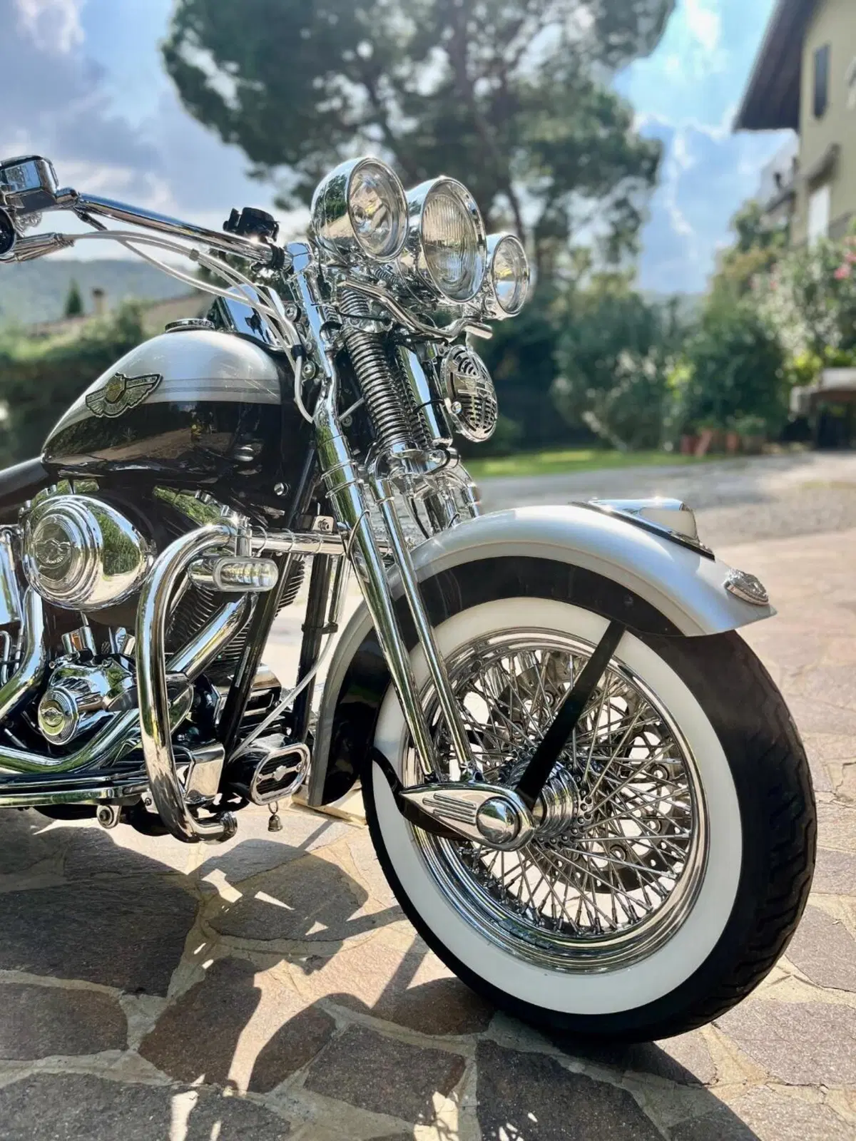 Harley-Davidson 1450 Heritage Springer (2000 - 03) - FLSTS (6)