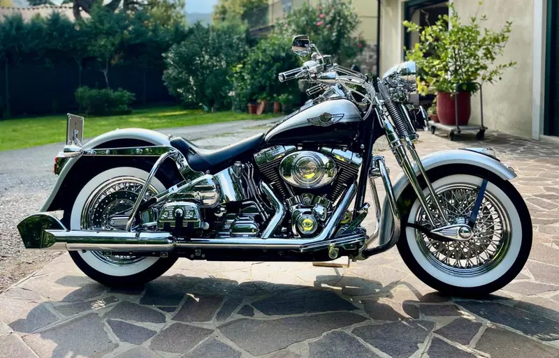 Harley-Davidson 1450 Heritage Springer (2000 - 03) - FLSTS (11)