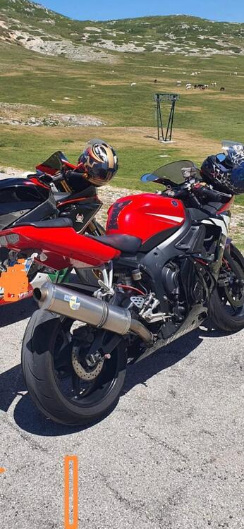 Yamaha YZF R6 (2003 - 04)