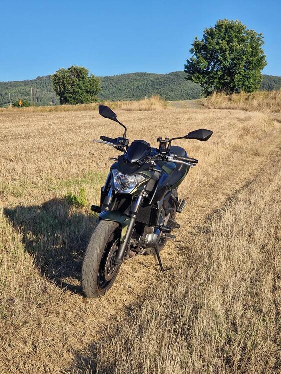 Kawasaki Z 650 (2017 - 19) (2)