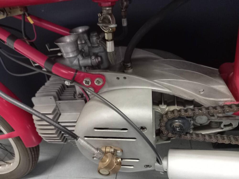 Rumi JUNIOR CORSA (2)