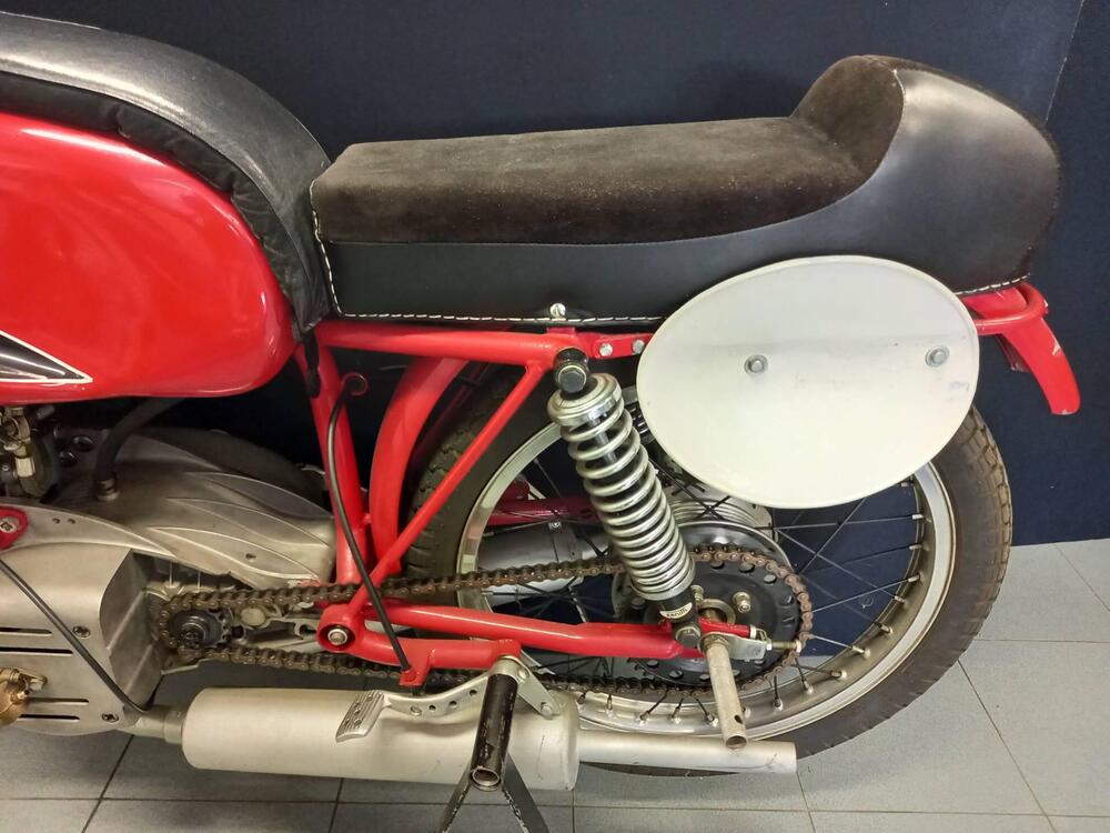 Rumi JUNIOR CORSA (4)