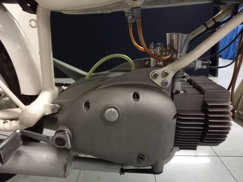 Rumi JUNIOR CORSA EARLES (2)