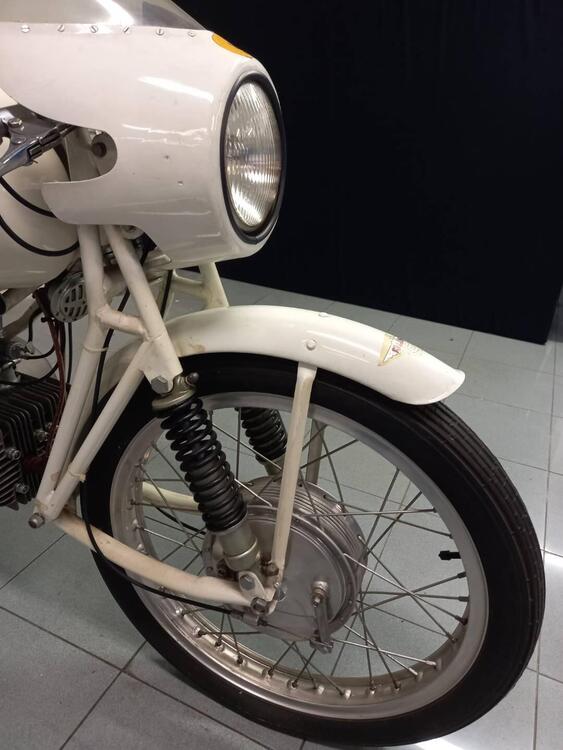 Rumi JUNIOR CORSA EARLES (3)