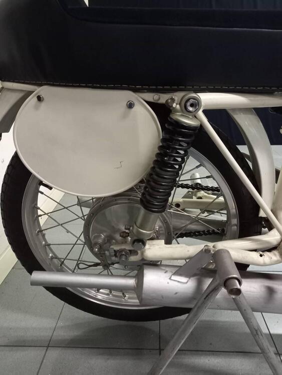 Rumi JUNIOR CORSA EARLES (4)