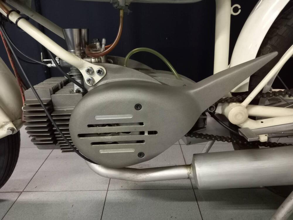 Rumi JUNIOR CORSA EARLES (5)