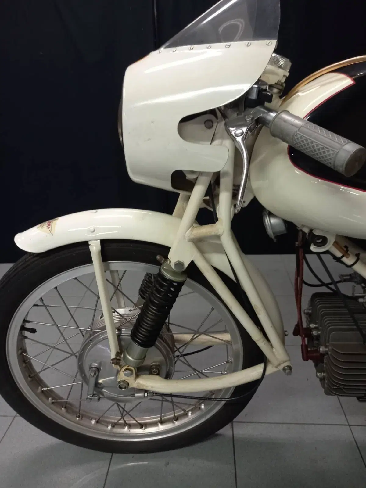 Rumi JUNIOR CORSA EARLES (7)