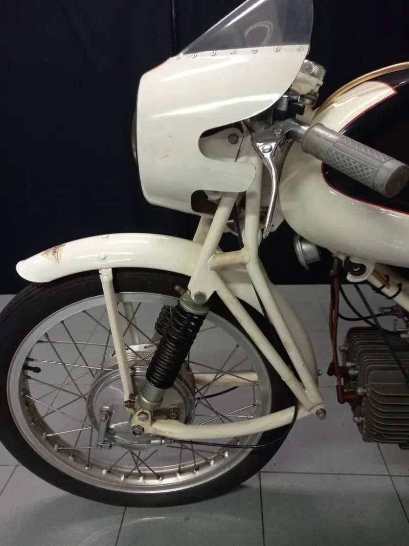 Rumi JUNIOR CORSA EARLES (7)