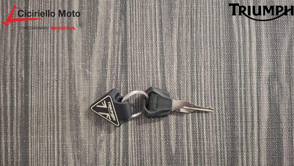 Triumph Trident 660 Triple Tribute Edition (2024) (4)