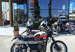 Triumph Scrambler (2006 - 17) usata