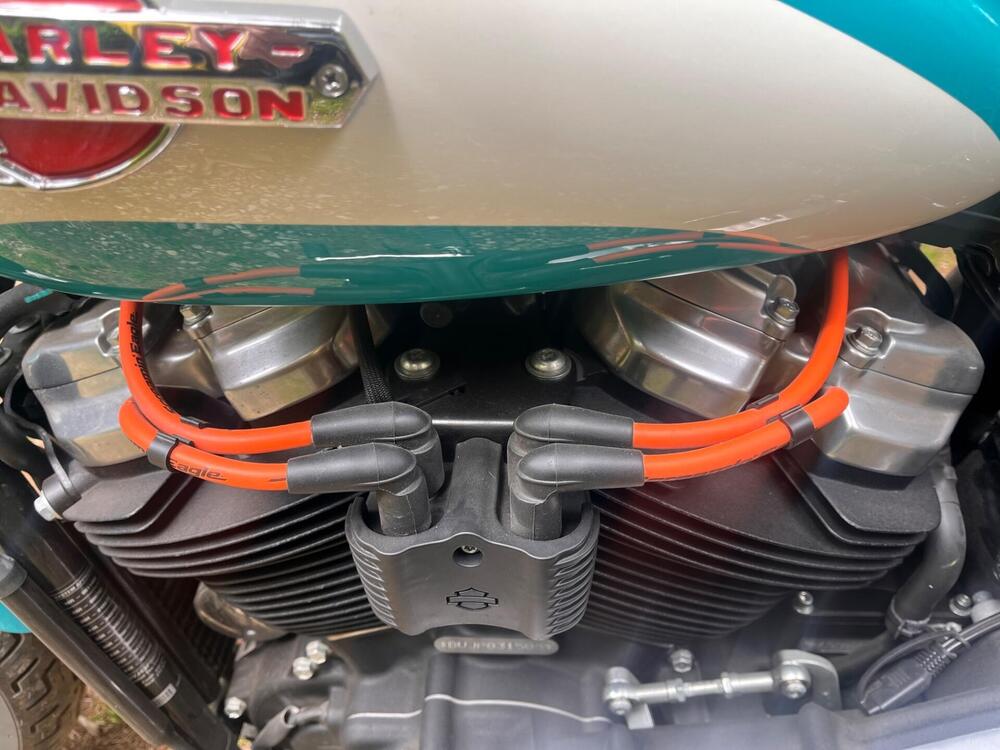 Harley-Davidson Softail Standard (2020) - FXST