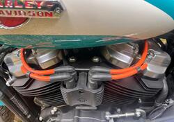 Harley-Davidson Softail Standard (2020) - FXST usata