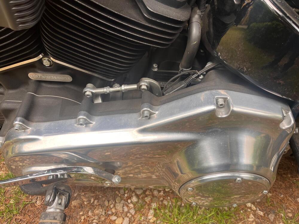 Harley-Davidson Softail Standard (2020) - FXST (3)