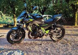 Kawasaki Z 650 Urban (2021 - 24) usata