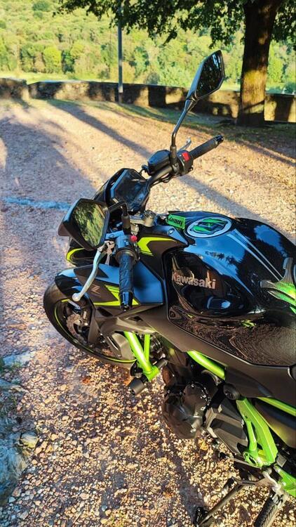 Kawasaki Z 650 Urban (2021 - 24) (2)