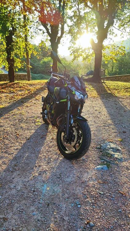 Kawasaki Z 650 Urban (2021 - 24) (3)