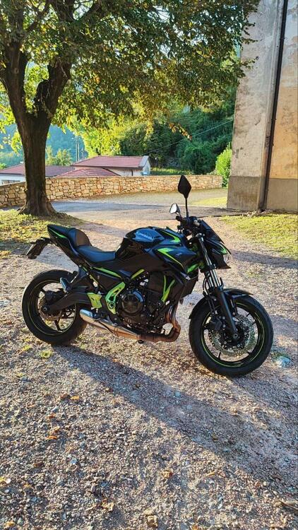 Kawasaki Z 650 Urban (2021 - 24) (4)