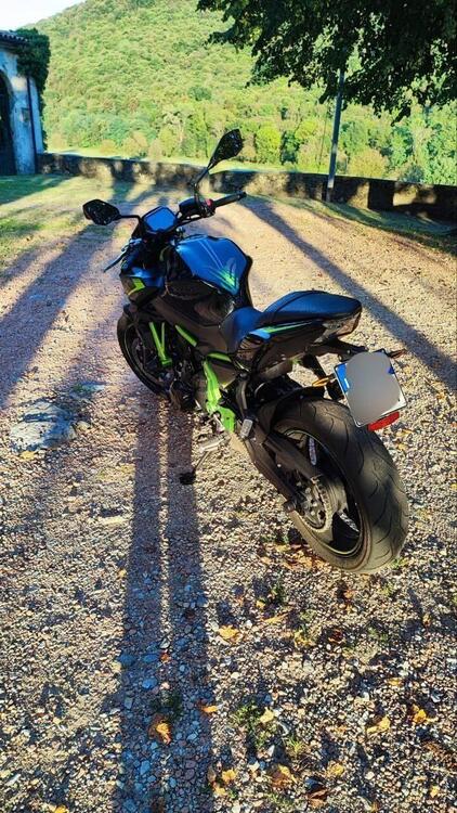 Kawasaki Z 650 Urban (2021 - 24) (5)