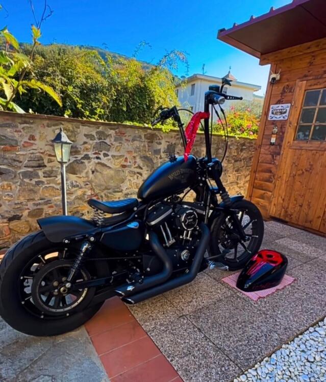 Harley-Davidson 883 Iron (2014 - 16) - XL 883N (2)