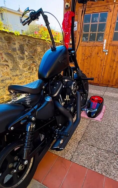 Harley-Davidson 883 Iron (2014 - 16) - XL 883N (3)