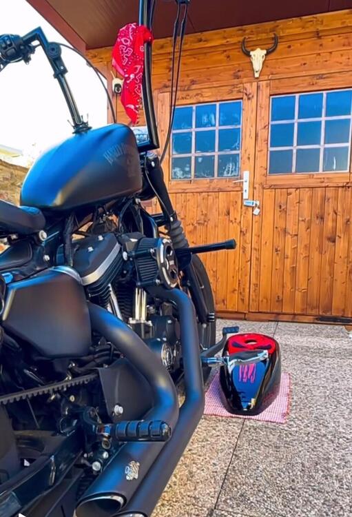 Harley-Davidson 883 Iron (2014 - 16) - XL 883N (4)