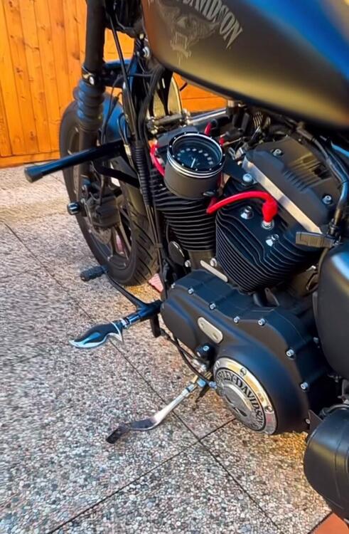 Harley-Davidson 883 Iron (2014 - 16) - XL 883N (5)