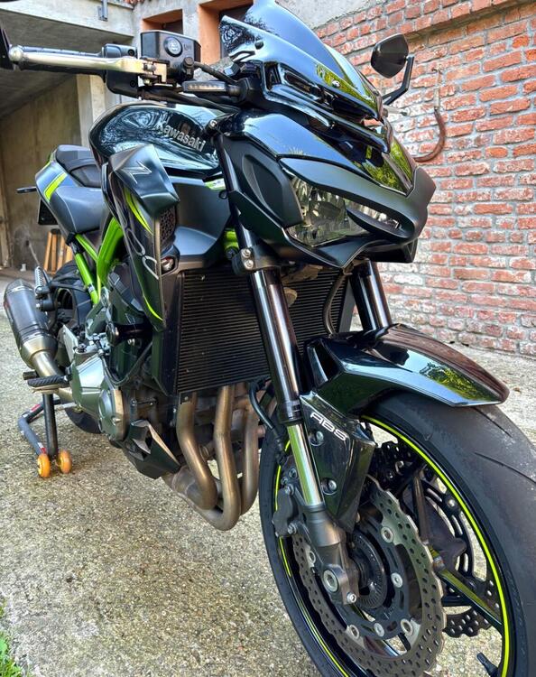 Kawasaki Z 900 Performance (2019) (2)