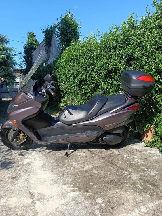 Honda Forza 250 EX (2005 - 07)