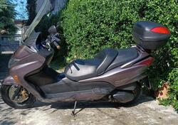 Honda Forza 250 EX (2005 - 07) usata