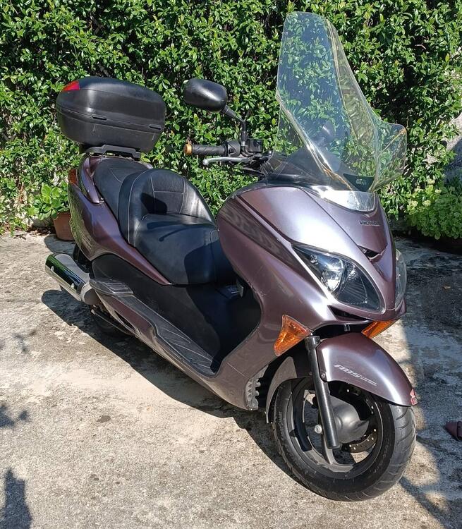 Honda Forza 250 EX (2005 - 07) (2)