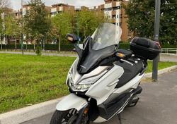 Honda Forza 300 ABS (2018 - 20) usata