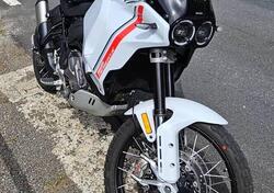 Ducati DesertX (2022 - 25) usata