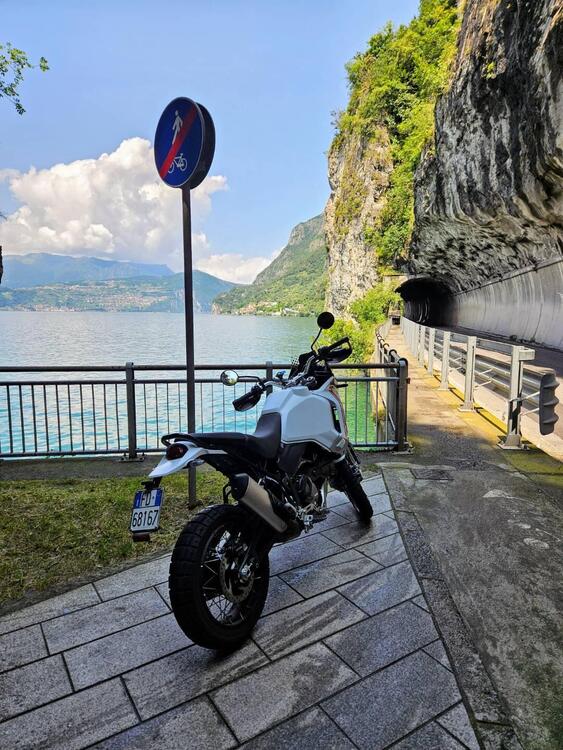 Ducati DesertX (2022 - 25) (2)