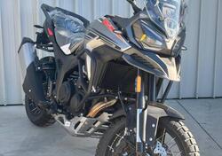 Morbidelli T1002VX (2024 - 25) nuova