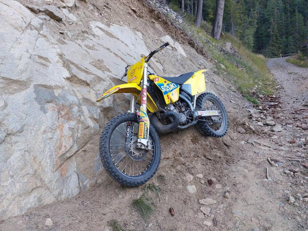 Suzuki RM 250 (2002 - 03) (3)