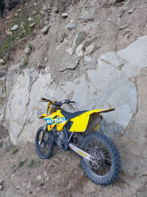 Suzuki RM 250 (2002 - 03) (4)