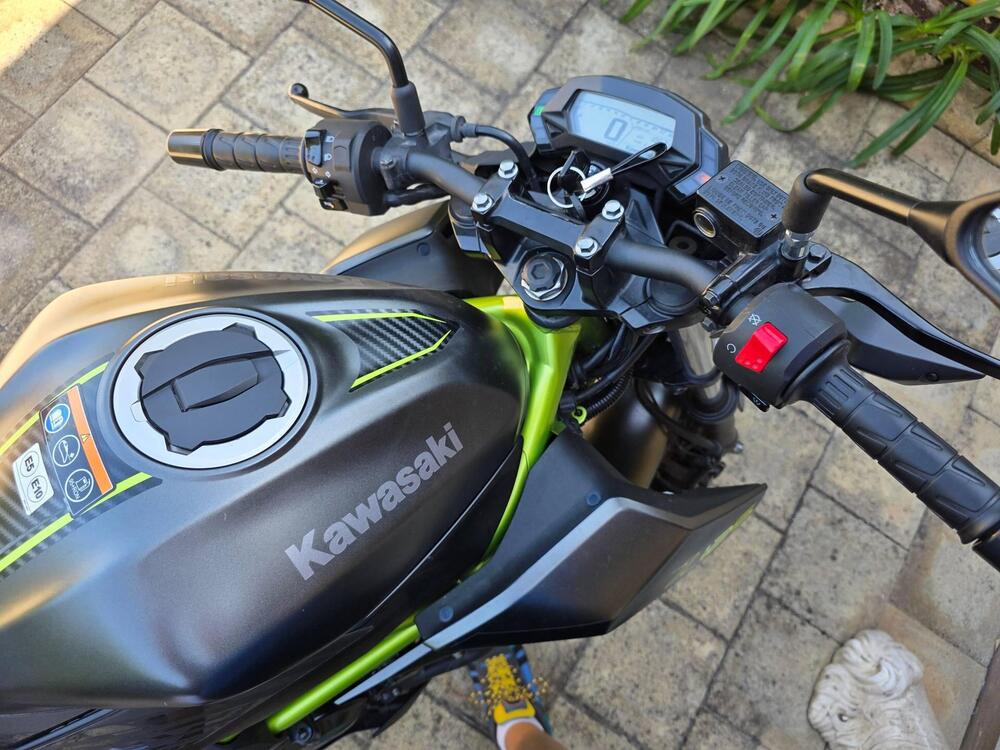 Kawasaki Z 125 (2021 - 24) (4)
