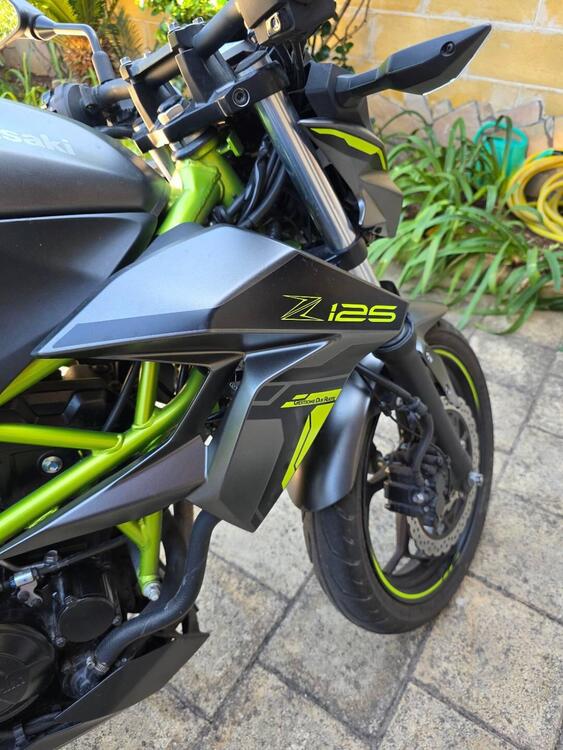 Kawasaki Z 125 (2021 - 24) (5)