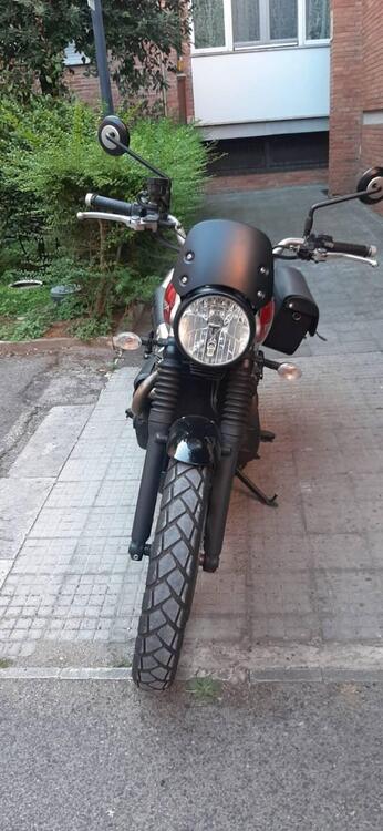 Triumph Street Scrambler 900 (2019 - 20) (3)