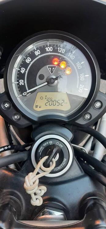 Triumph Street Scrambler 900 (2019 - 20) (4)